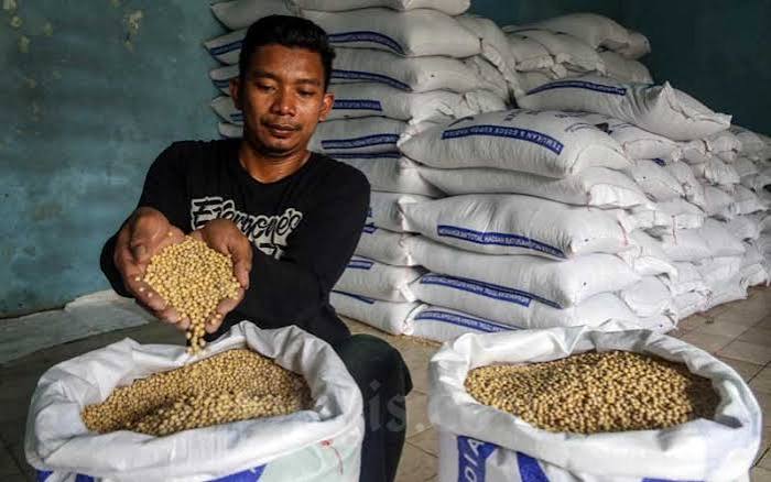 Bapanas: Program SPHP kedelai terukur, jaga usaha perajin tahu tempe
